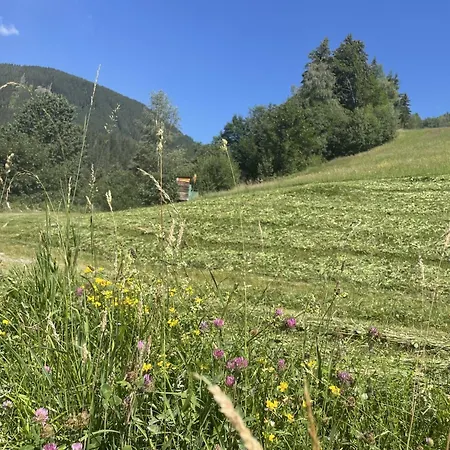 Lägenhet Panoramaperle By Interhome *